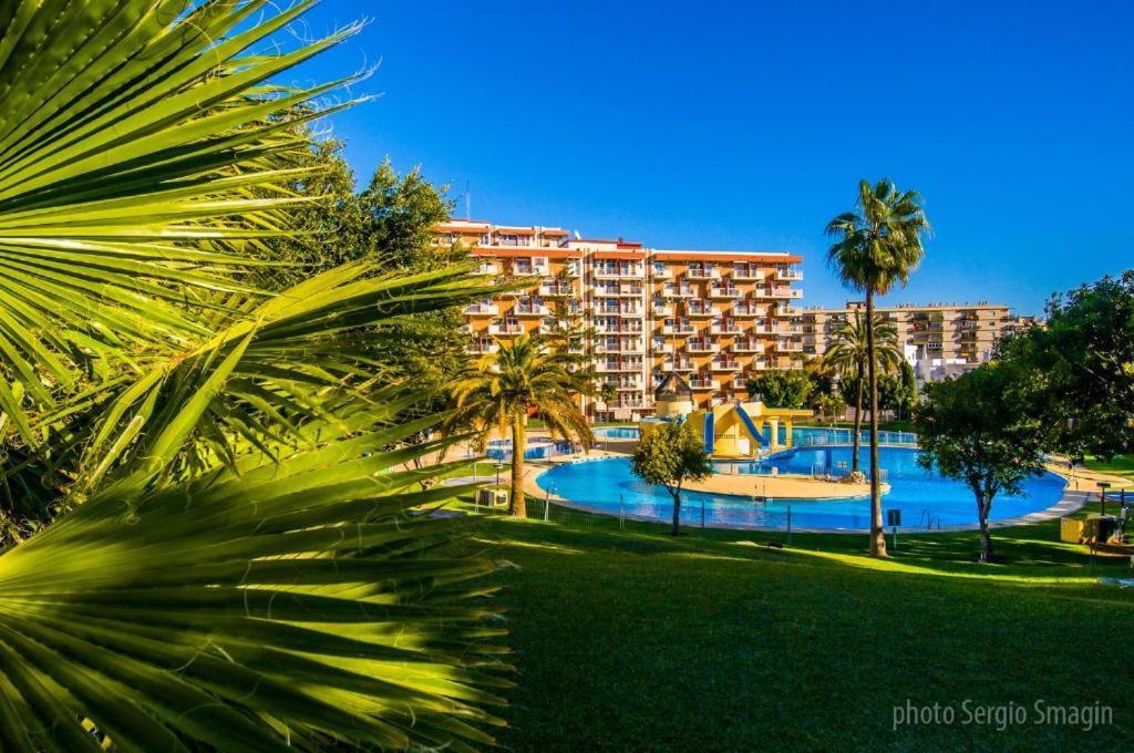 Apartment Minerva 318